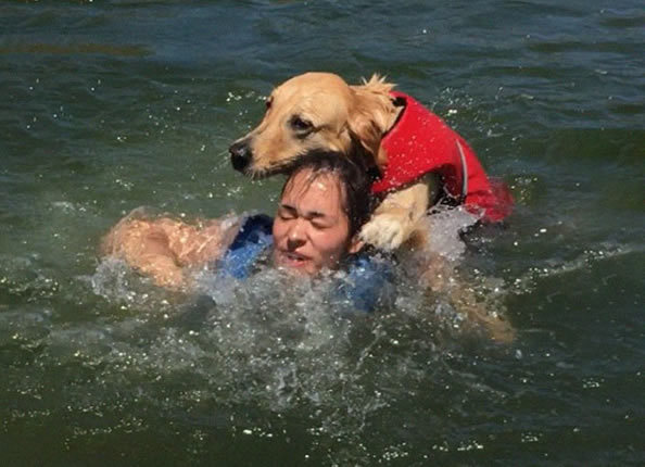狗狗戏水太紧张，竟把主人往水里压，足足5秒