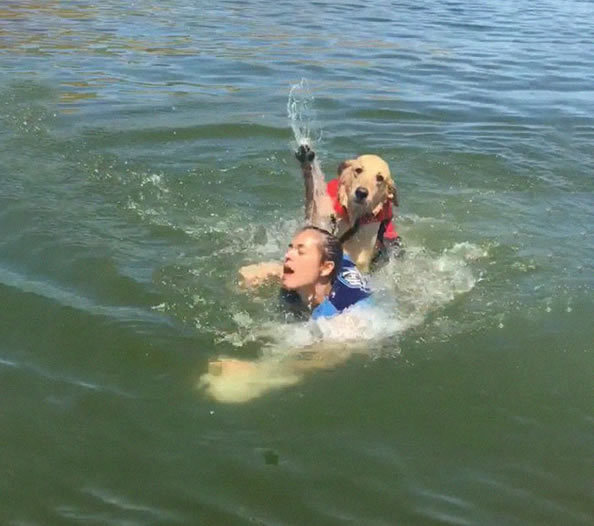狗狗戏水太紧张，竟把主人往水里压，足足5秒