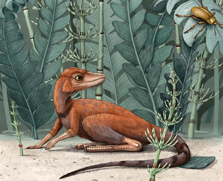 古生物学家发现“恐龙祖先”化石，身材竟意外的迷你