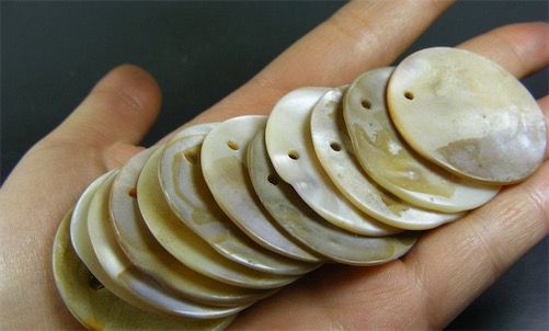 世界上最古老的首饰 3万年前带孔的贝壳