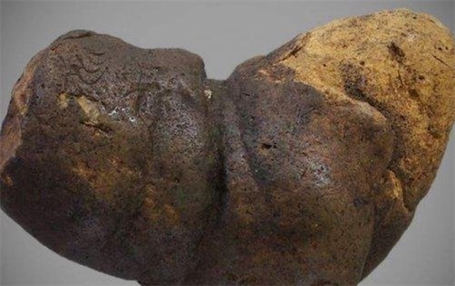 世界上保存最久的粪便 来自12000年前的粪化石