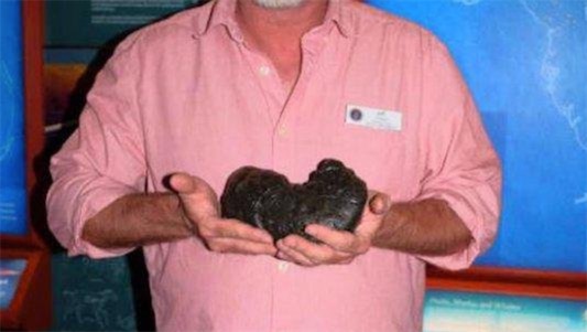 世界上保存最久的粪便 来自12000年前的粪化石