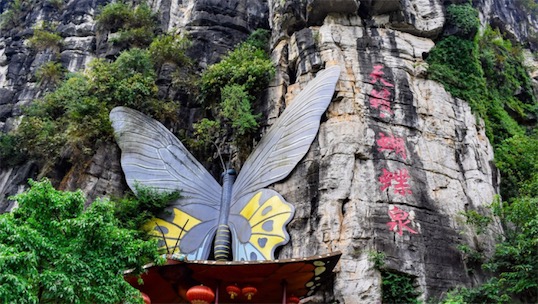 中国聚集蝴蝶最多的的泉 成千上万的蝴蝶来赴会蝴蝶泉