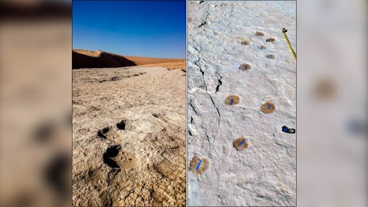 阿拉伯发现人类迁徙足迹，距离现今约13万年